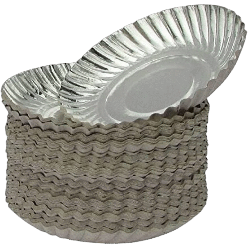 Disposable Paper Plates – 1 Pack